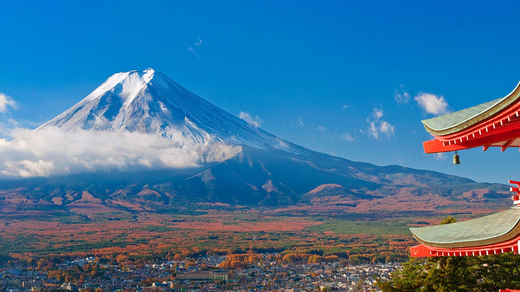 Top 10 Must-Visit Temples and Shrines in Japan